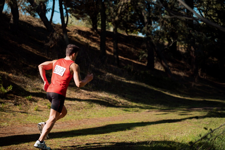 Vila Palas Vrnjacka Banja - Smestaj za aktivne goste i ljubitelje trail trcanja